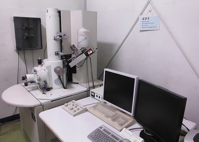 走査型電子顕微鏡（SEM）