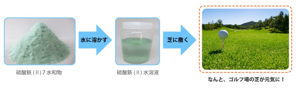 硫酸鉄を吸収して元気になるさま