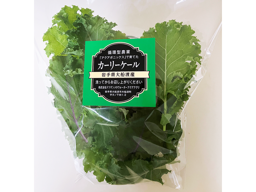 TMAケール